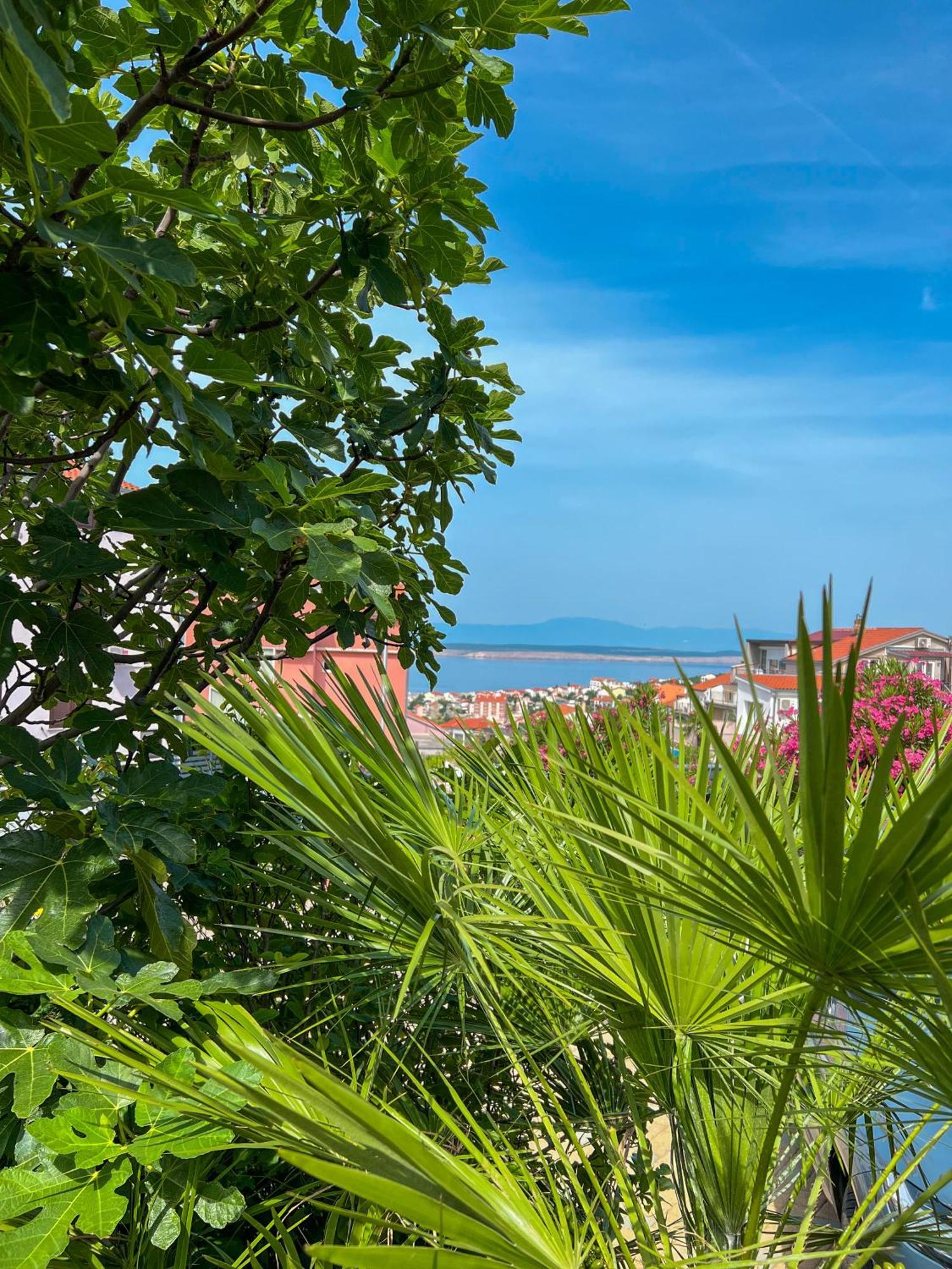 Apartments Villa Klaudia - Adults Only Crikvenica Eksteriør billede